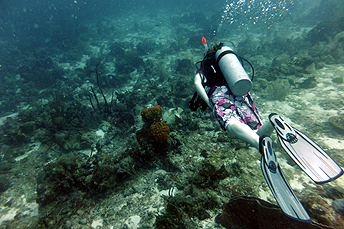 drift diving